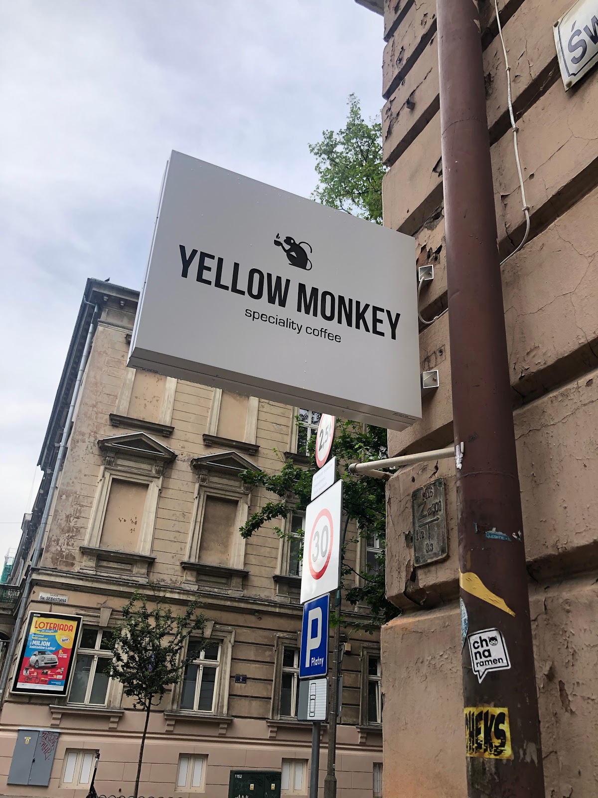 Yellow Monkey | Specialty coffeeshop | Matcha