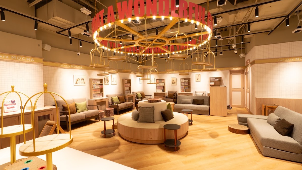 Cat Cafe Mocha 台北信義店
