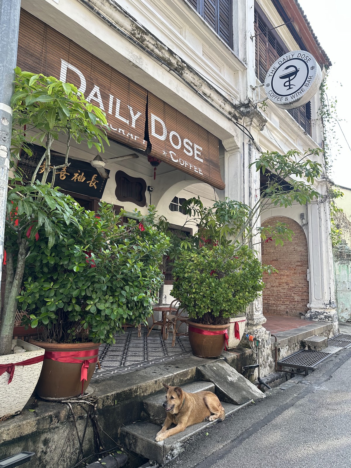 The Daily Dose Cafe Penang