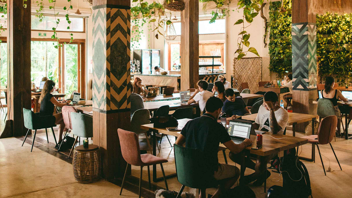 Digital Jungle | Coworking in Tulum — coworking in Tulum